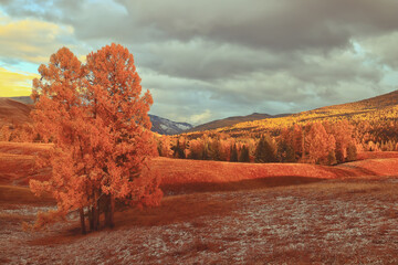 oppo x23怎么连电脑